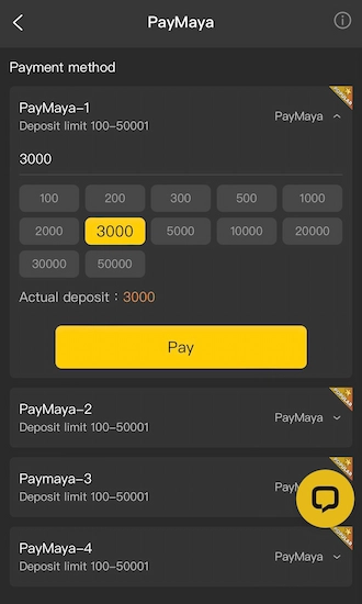 Step 2: fill in the deposit amount and click Pay.