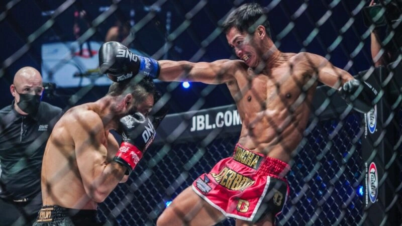 Better Understanding of MMA Betting and Betting Rules